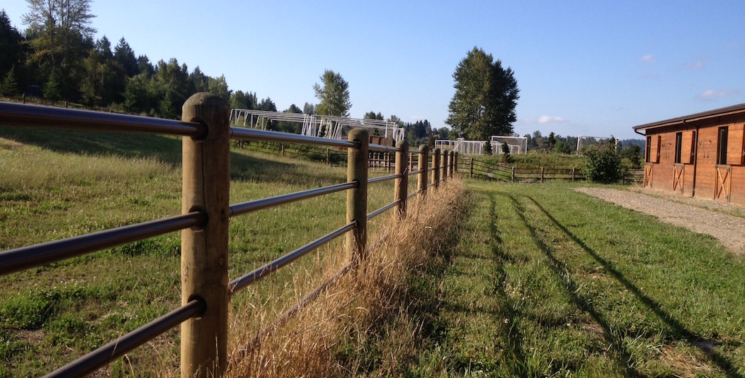 totally enclosed fence surrounding willowcrest stables