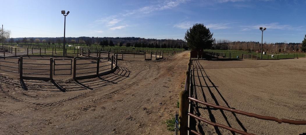 50 foot outdoor round pen